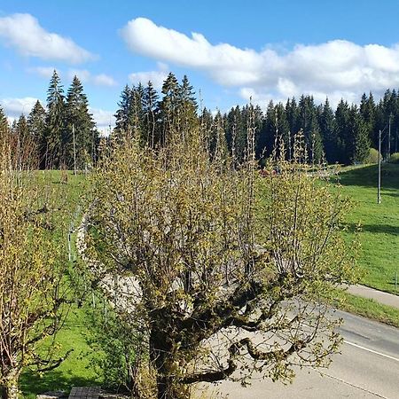 Auberge De La Couronne Saignelégier Exteriör bild